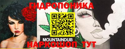 амф Лесосибирск
