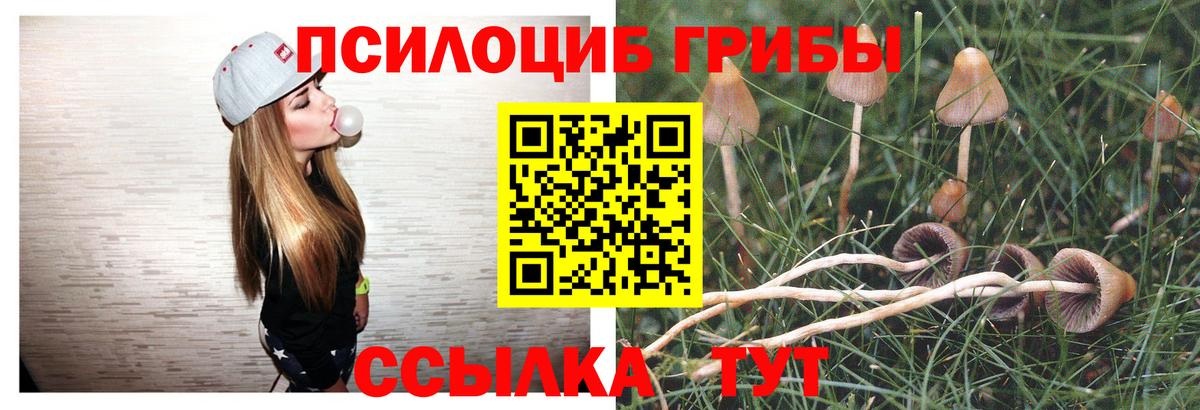 Элиста  Псилоцибиновые грибы Magic Shrooms  Галлюциногенные грибы Psilocybe  Вход с VPN 